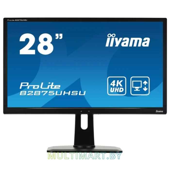 Монитор Iiyama ProLite B2875UHSU-B1